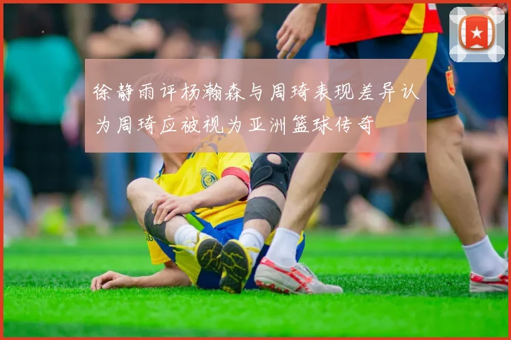 徐静雨评杨瀚森与周琦表现差异认为周琦应被视为亚洲篮球传奇