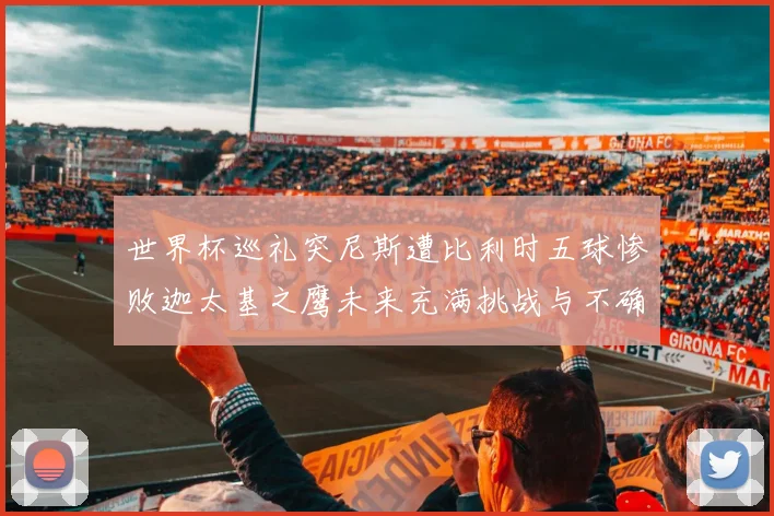 世界杯巡礼突尼斯遭比利时五球惨败迦太基之鹰未来充满挑战与不确定性